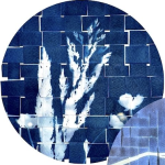 Learn Cameraless Photography with Cyanotype